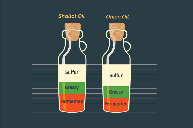 Graph showing tastes between shallot and onion oil