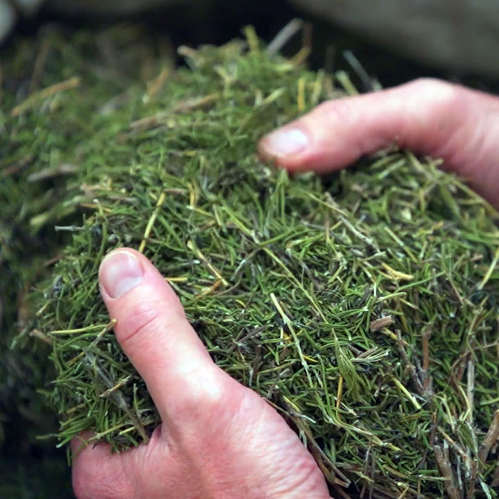 Video Vertical Integration of Rosemary Extracts Kalsec