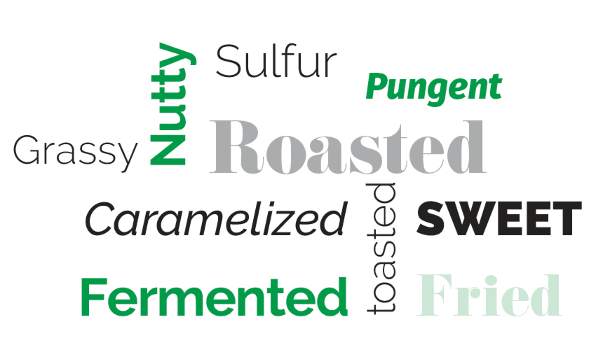 Word map: grassy, nutty, sulfur, pungent, roasted, caramelized, toasted, fermented, sweet, fried