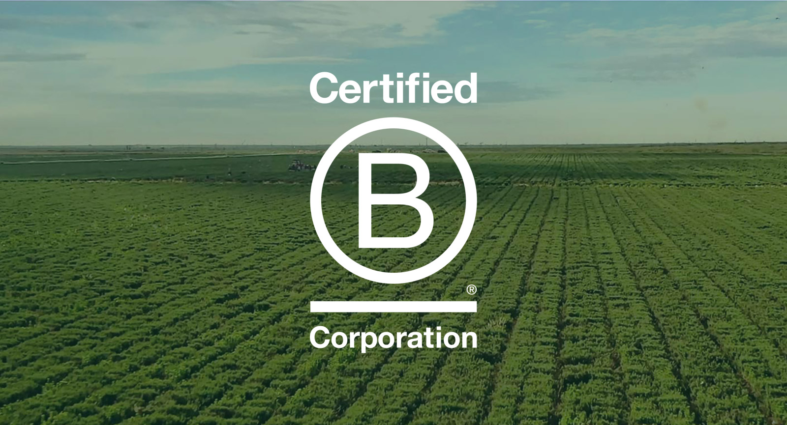 B-Corp logo