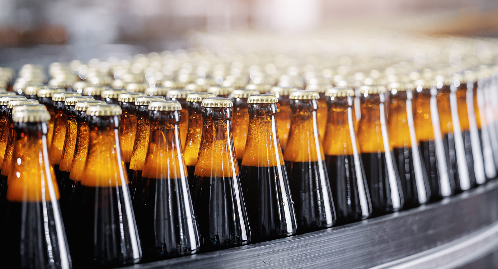 Beer bottles ready for labels and packaging