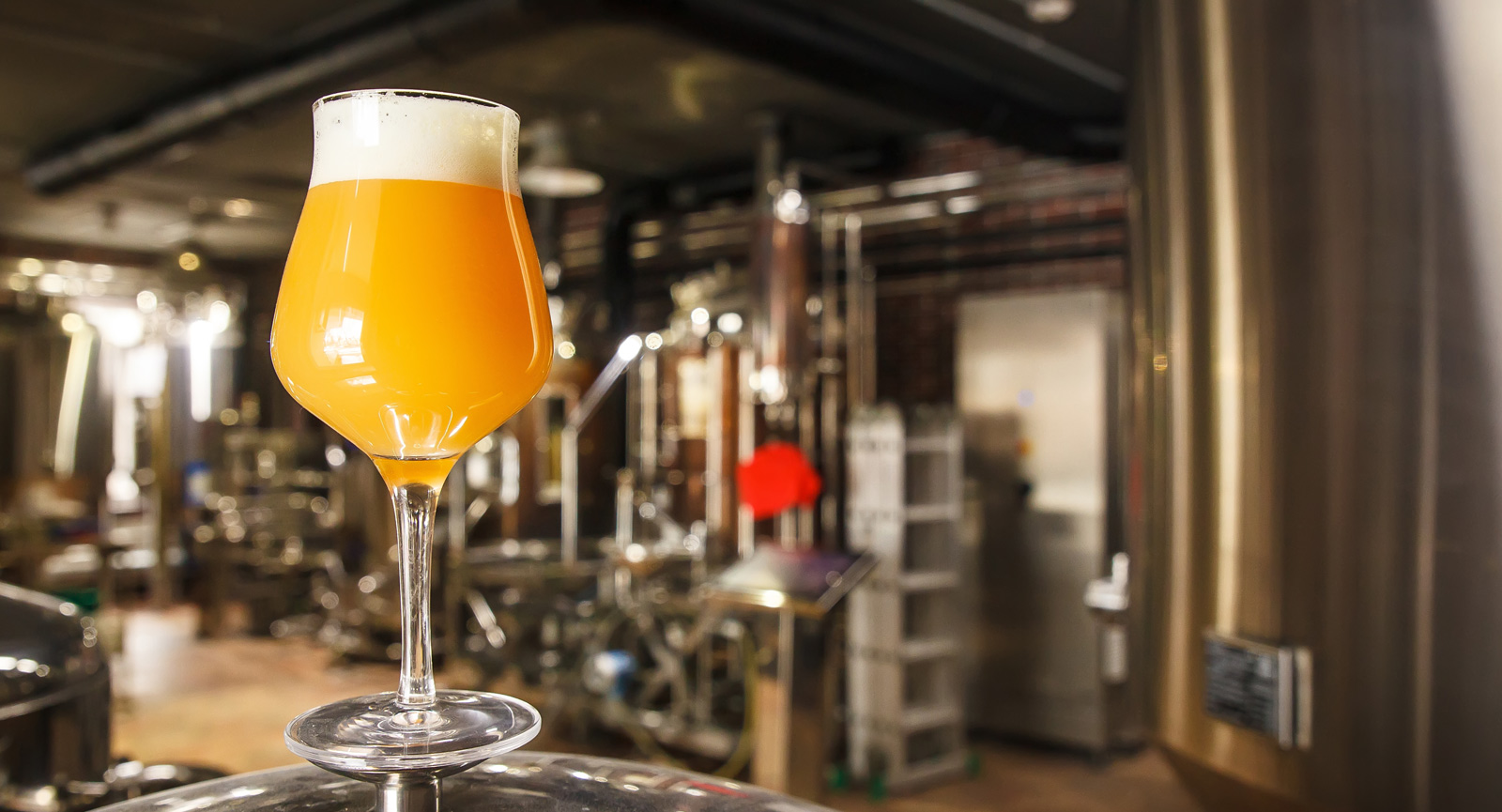 Hazy IPA in a brewery