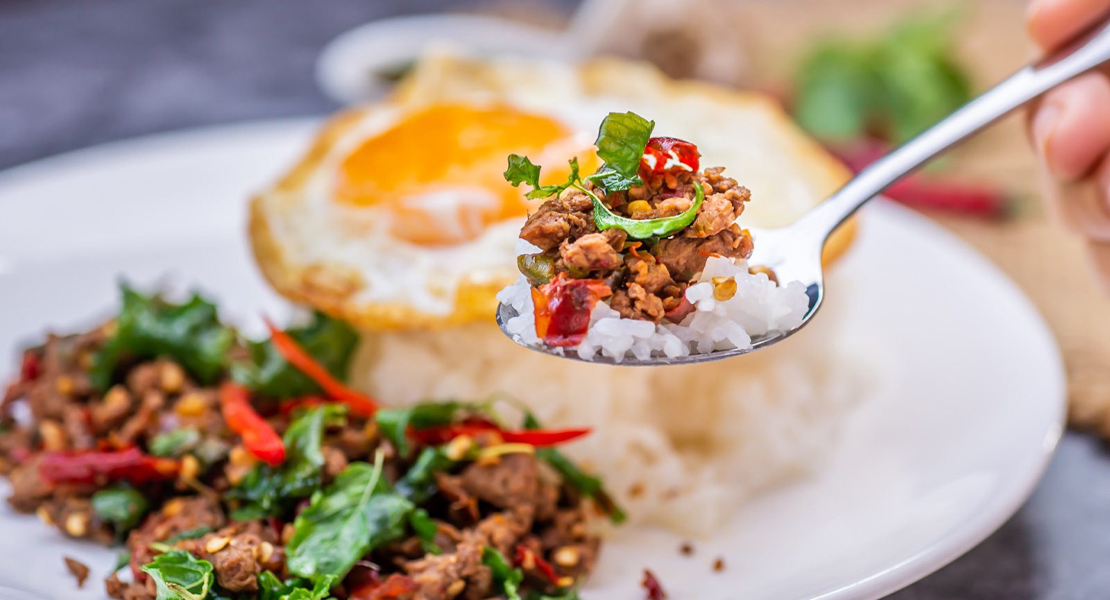 Spoonful of spicy beef and rice