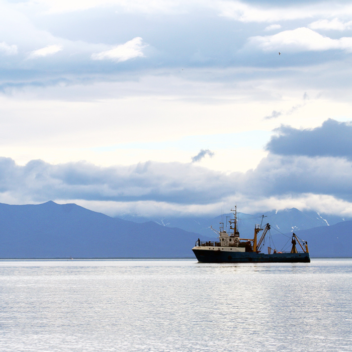 Fishing in Nordic waters