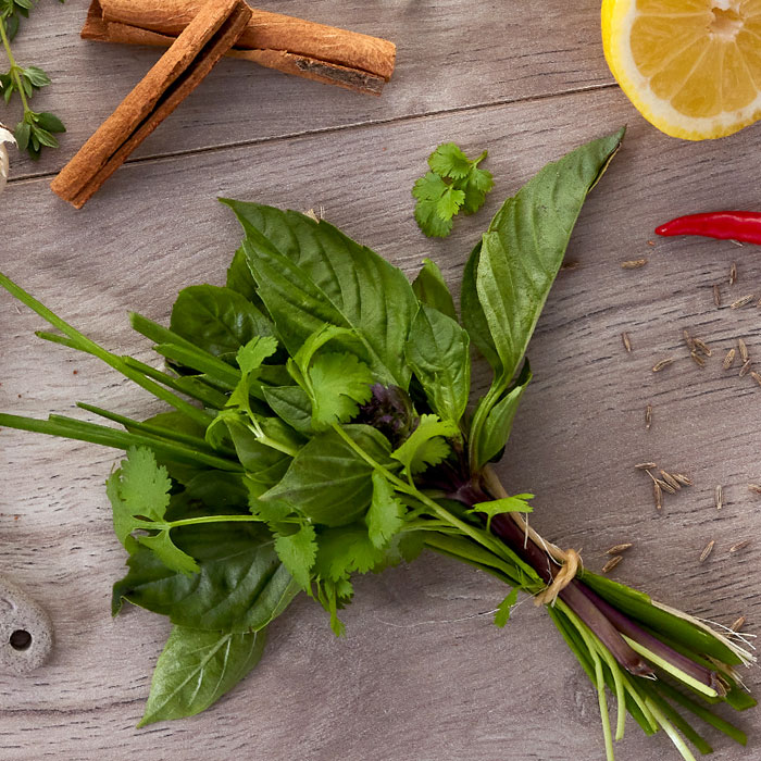 Bouquet of soft herbs