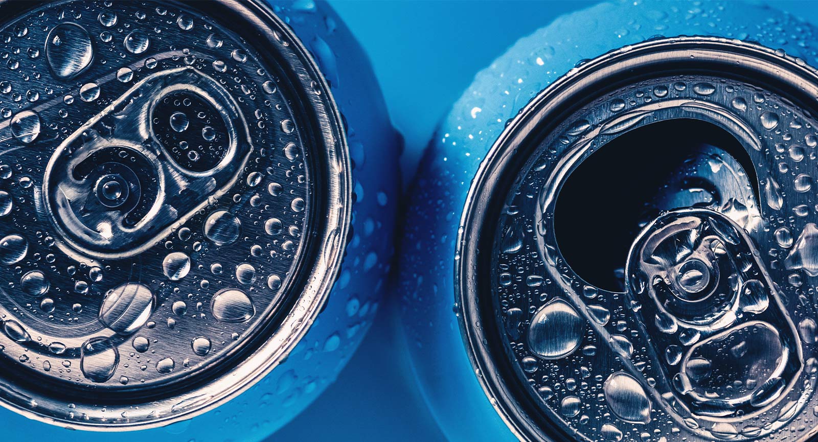 Cans of Hop Water photographed from above