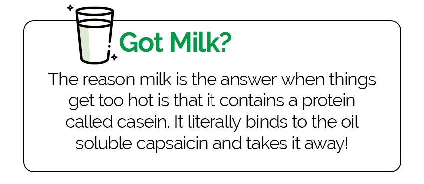 Got Milk? The reason milk is the answer when things get too hot is that it contains a protein called casein. It literally binds to the oil soluble capsaicin and takes it away!