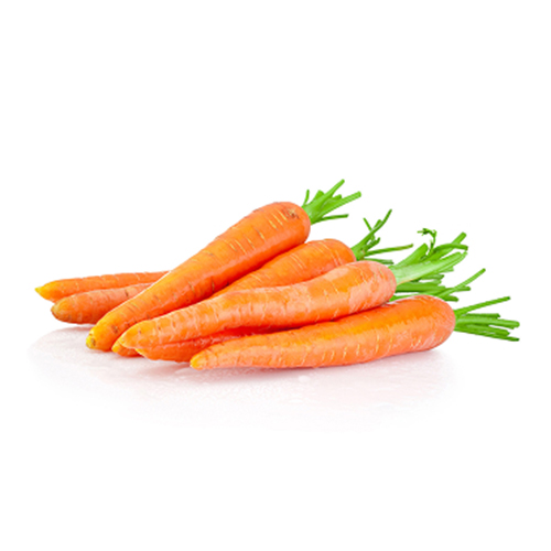 Carrot