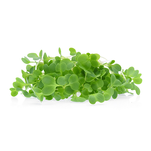 Chlorophyllin