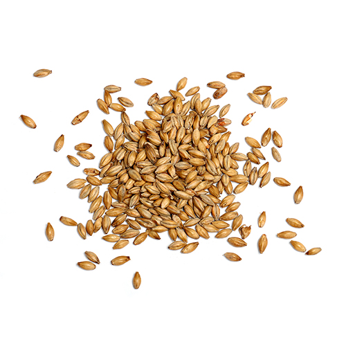 Malt