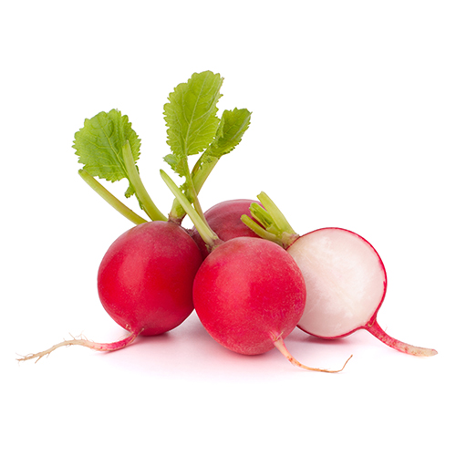 Red Radish