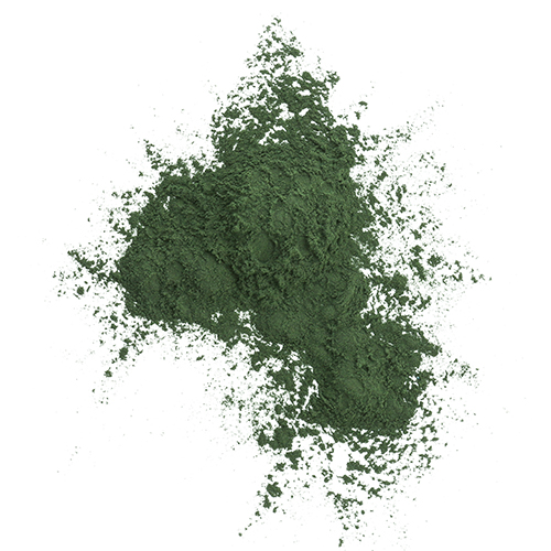 Spirulina
